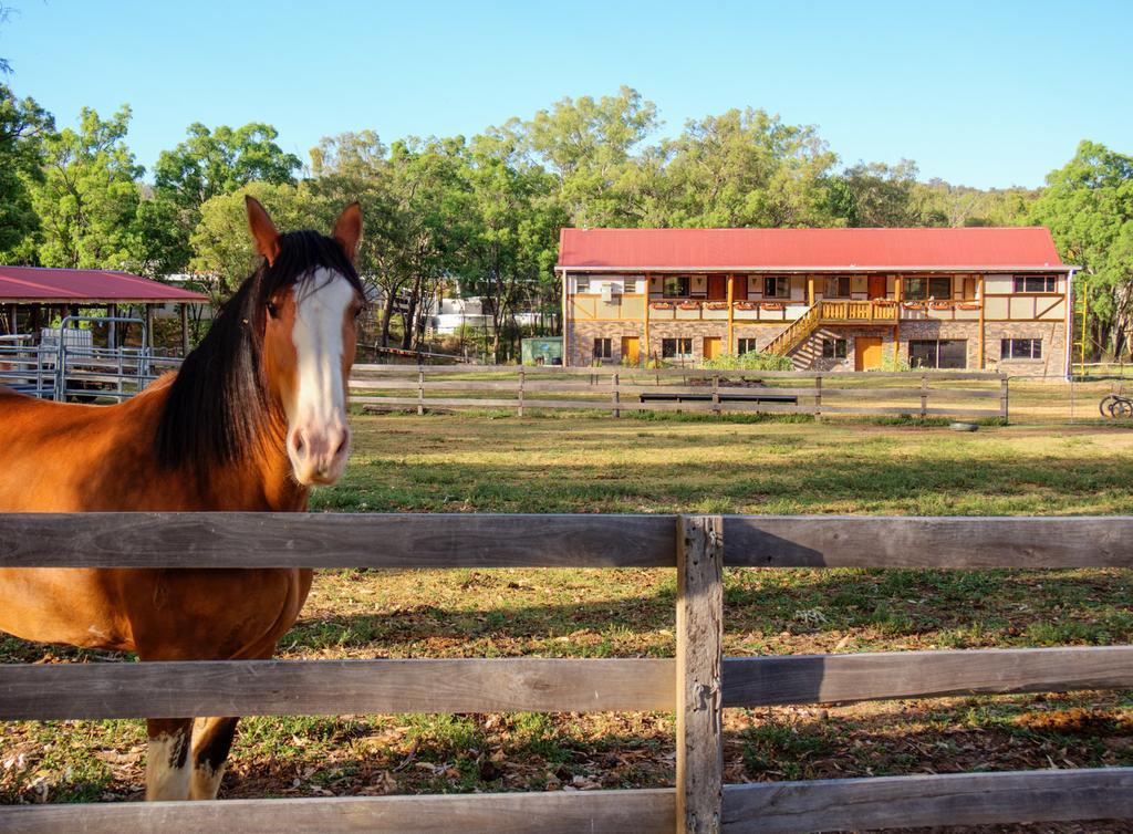 Pilliga Pottery Creative Farmstay Coonabarabran Szoba fotó